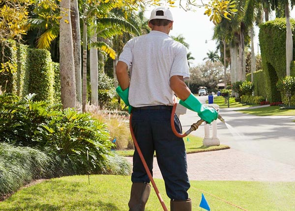 About Natural Bridge NY Pest Control